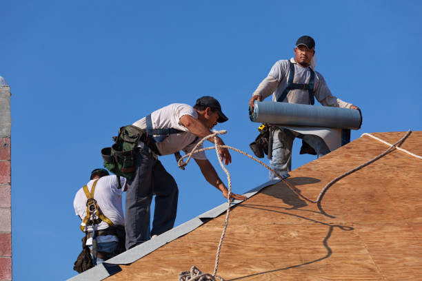 Roof Gutter Cleaning in New Orleans, LA